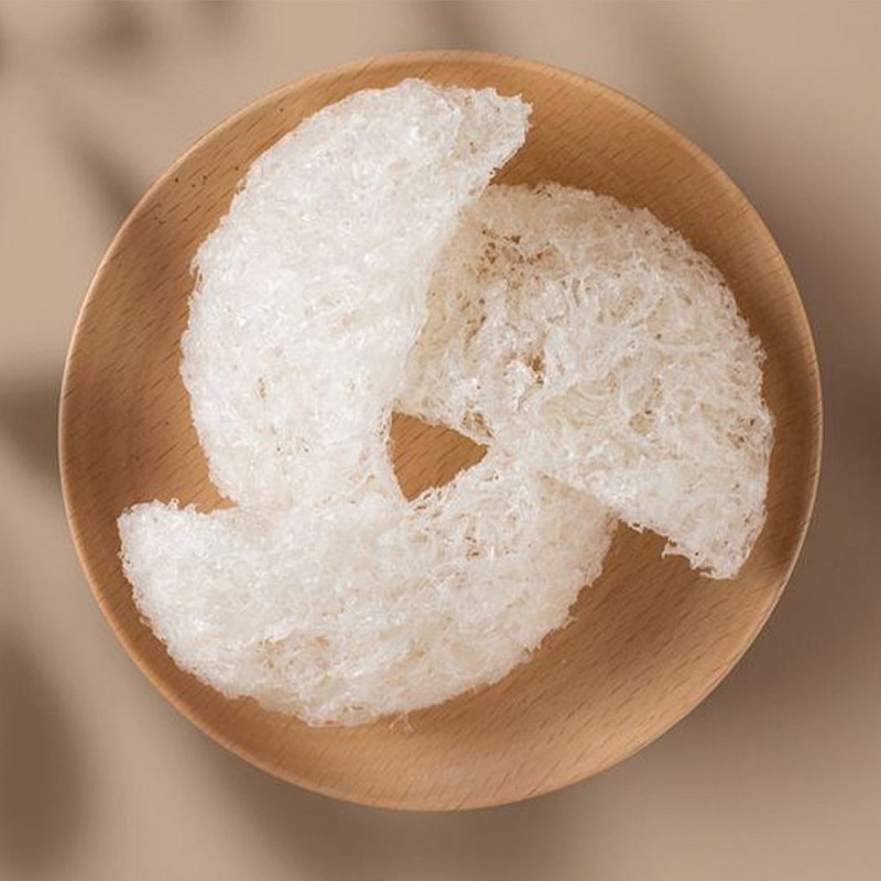 Kebaikan Sarang Burung Walit