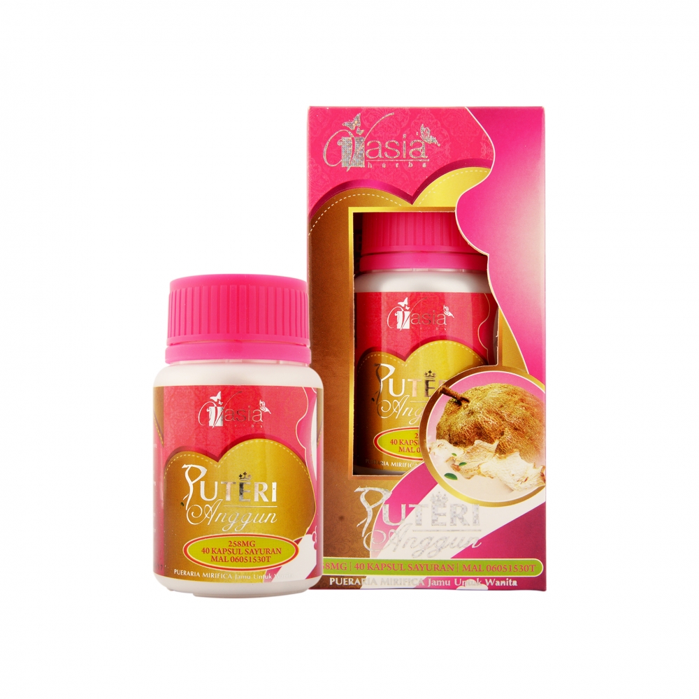 Puteri Anggun Puteri Anggun